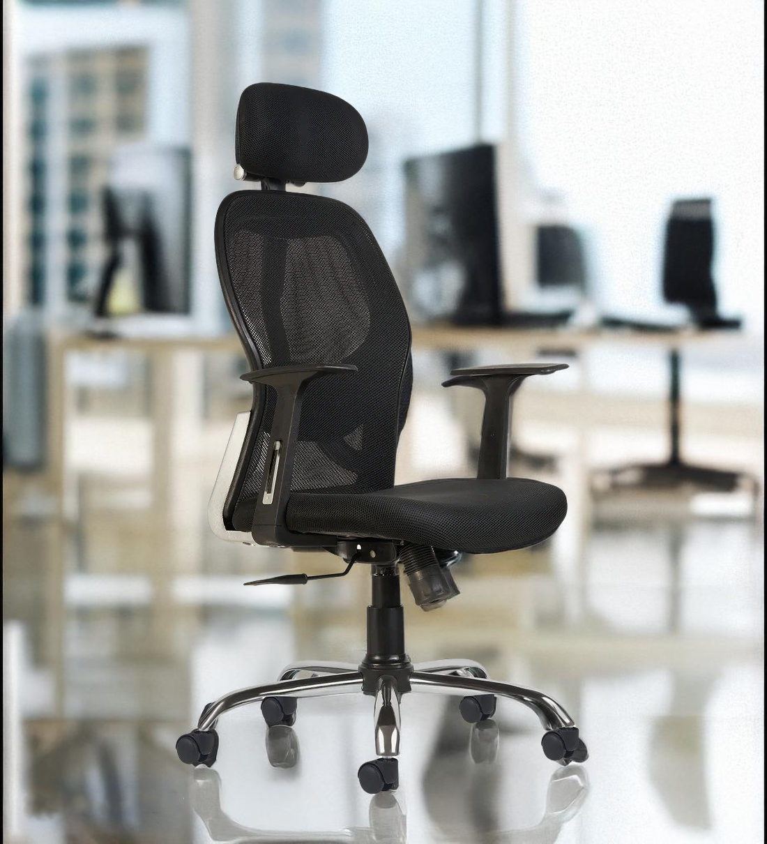 ErgoSupreme FlexiComfort Chair in Black Colour