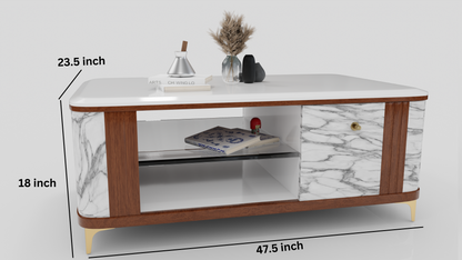 MARBLE TOP FINISHING COFFEE TABLE WITH WOODEN AND WHITE COLOUR