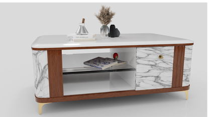 MARBLE TOP FINISHING COFFEE TABLE WITH WOODEN AND WHITE COLOUR