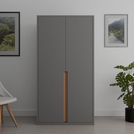 The Blok Unit  two door wardrobe  in grey color